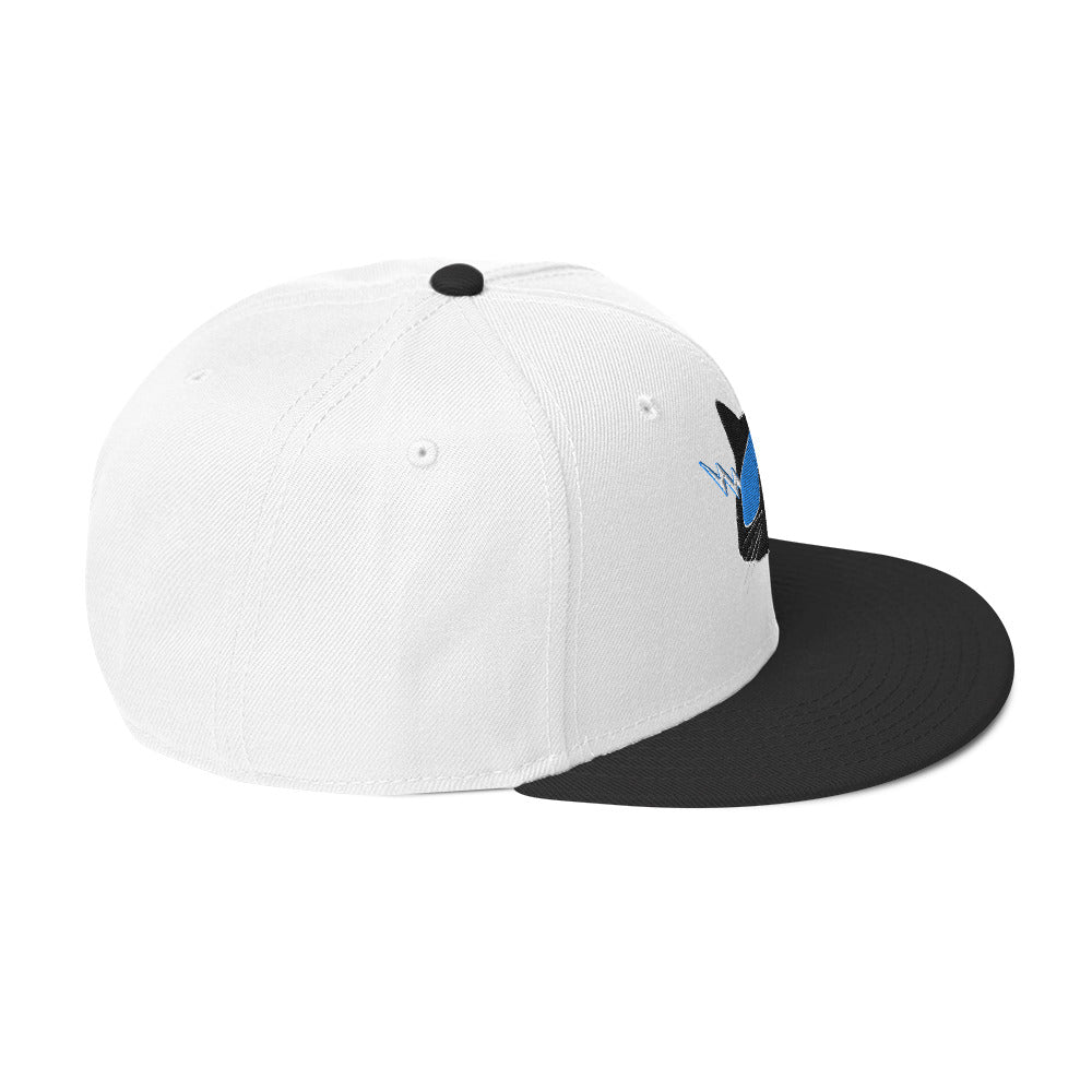 Storm Front Freaks StormCat5 Snapback Hat