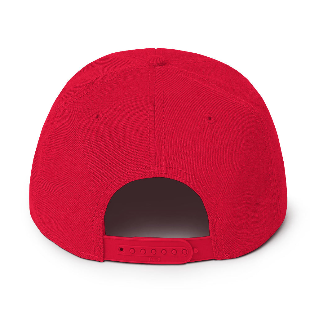 Storm Front Freaks StormCat5 Snapback Hat