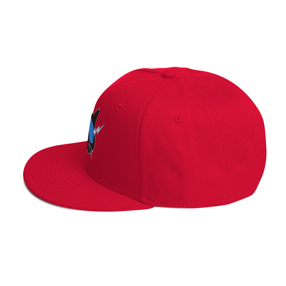Storm Front Freaks StormCat5 Snapback Hat