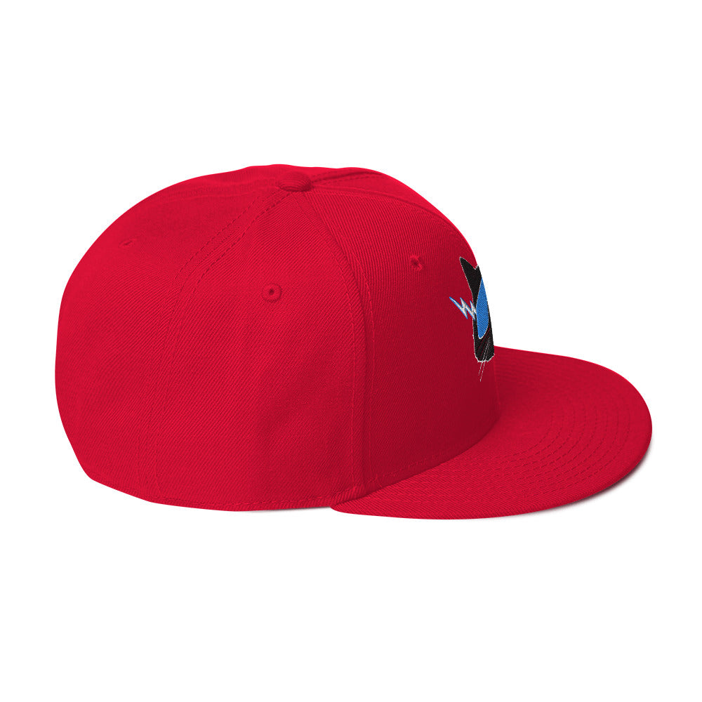 Storm Front Freaks StormCat5 Snapback Hat